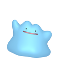 Ditto