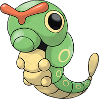 Raupy