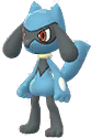 Riolu