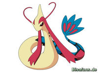 Zeichenkurs Milotic - Schritt 5