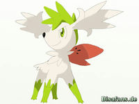 Zeichenkurs Shaymin (Zenitform) - Schritt 7