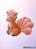 Zeichenkurs Vulpix - Schritt 9