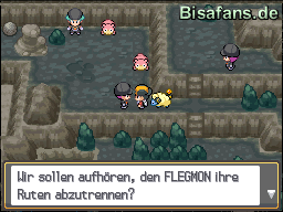 Team Rocket besetzt den Brunnen