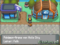 Die Arena von Viola City