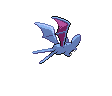 Zubat ♀