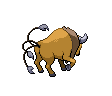 Tauros