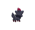 Zorua