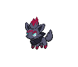 Zorua