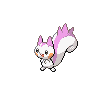 Pachirisu ♀