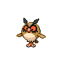 Hoothoot