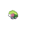 Shaymin Landform