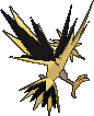 Zapdos