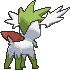 Shaymin Zenitform