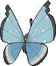 Vivillon Flockenmuster