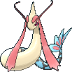 Milotic ♀