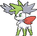 Shaymin Zenitform