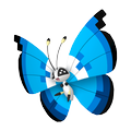 Vivillon Aquamarinmuster