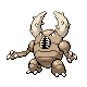 Pinsir Pinsir