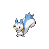  Pachirisu 