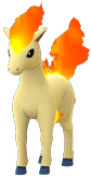 Ponita Ponita