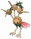 Dodri