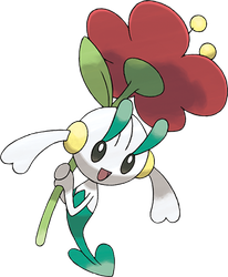 Floette Rotblütler
