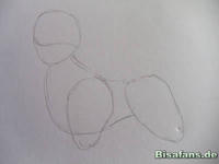 Zeichenkurs Absol - Schritt 1