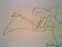 Zeichenkurs Aerodactyl - Schritt 7