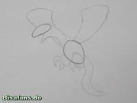 Zeichenkurs Aeropteryx - Schritt 1