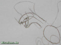 Zeichenkurs Aeropteryx - Schritt 3