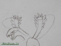 Zeichenkurs Aeropteryx - Schritt 5