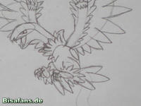 Zeichenkurs Aeropteryx - Schritt 9