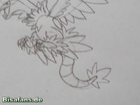 Zeichenkurs Aeropteryx - Schritt 10