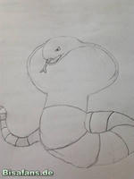 Zeichenkurs Arbok - Schritt 3