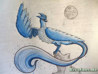 Zeichenkurs Arktos - Schritt 1