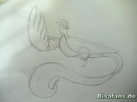 Zeichenkurs Arktos - Schritt 4