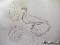 Zeichenkurs Arktos - Schritt 6