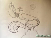 Zeichenkurs Arktos - Schritt 8