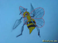 Zeichenkurs Bibor - Schritt 5