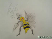 Zeichenkurs Bibor - Schritt 6