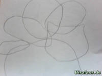 Zeichenkurs Bisaknosp - Schritt 2