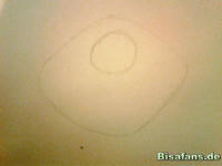 Zeichenkurs Brigaron - Schritt 1