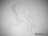 Zeichenkurs Dialga - Schritt 3