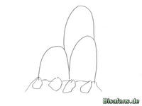 Zeichenkurs Digdri - Schritt 2