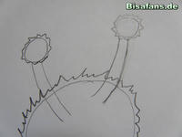 Zeichenkurs Dodu - Schritt 5