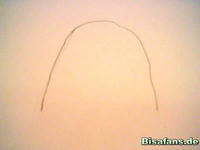 Zeichenkurs Endivie - Schritt 1