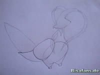Zeichenkurs Fasasnob - Schritt 2