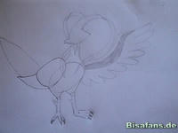 Zeichenkurs Fasasnob - Schritt 5