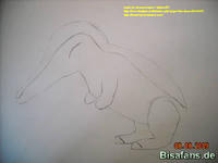 Zeichenkurs Feurigel - Schritt 4