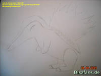 Zeichenkurs Feurigel - Schritt 5